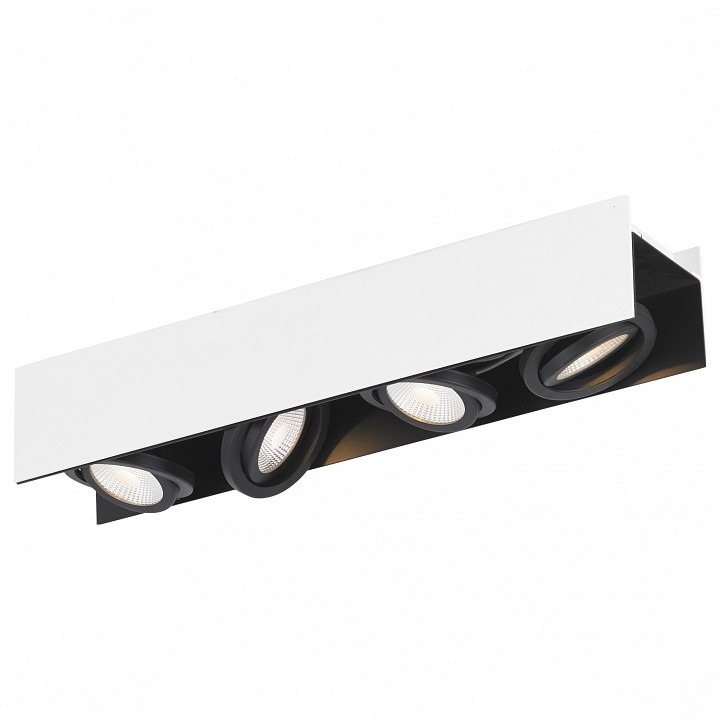 Фото Накладной светильник Eglo Vidago 39318 EG_39318 - интернет-магазин МегаТерем в Москве