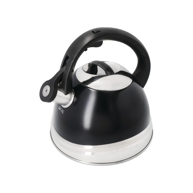 Чайник из нержавеющей стали BLACK 2,4 л La Cafetiere LCSSKETBLK Фото Чайник из нержавеющей стали BLACK 2,4 л La Cafetiere LCSSKETBLK - интернет-магазин МегаТерем в Москве