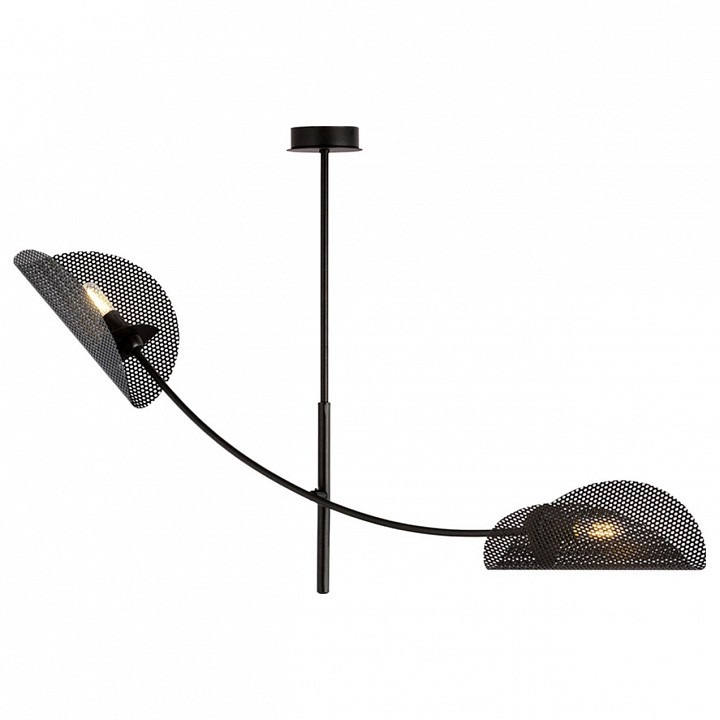 Фото Светильник на штанге Imex MD.8378 MD.8378-2-P-BK IMX_MD.8378-2-P-BK - интернет-магазин МегаТерем в Москве