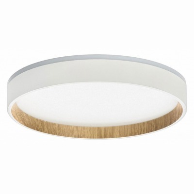 Накладной светильник Citilux Etalon CL750240