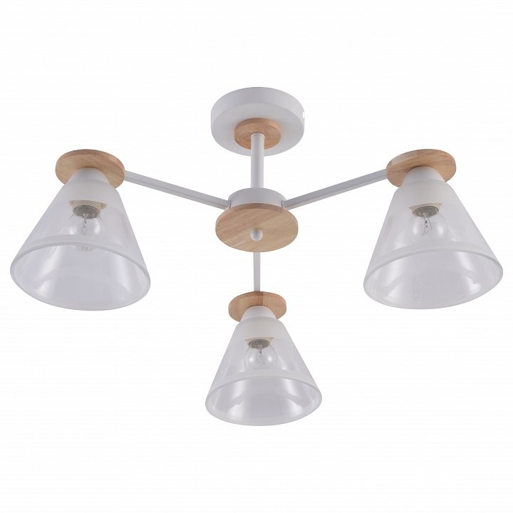 Фото Люстра на штанге Rivoli Theothila Б0068434 RVL_B0068434 - интернет-магазин МегаТерем в Москве