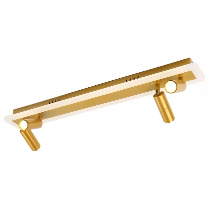 Фото Спот Arte Lamp Tommy A2607PL-30GO AR_A2607PL-30GO - интернет-магазин МегаТерем в Москве