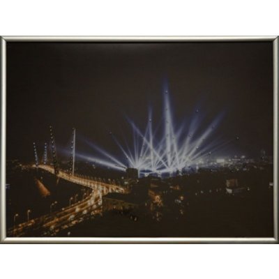 Картина Владивостокские мос...