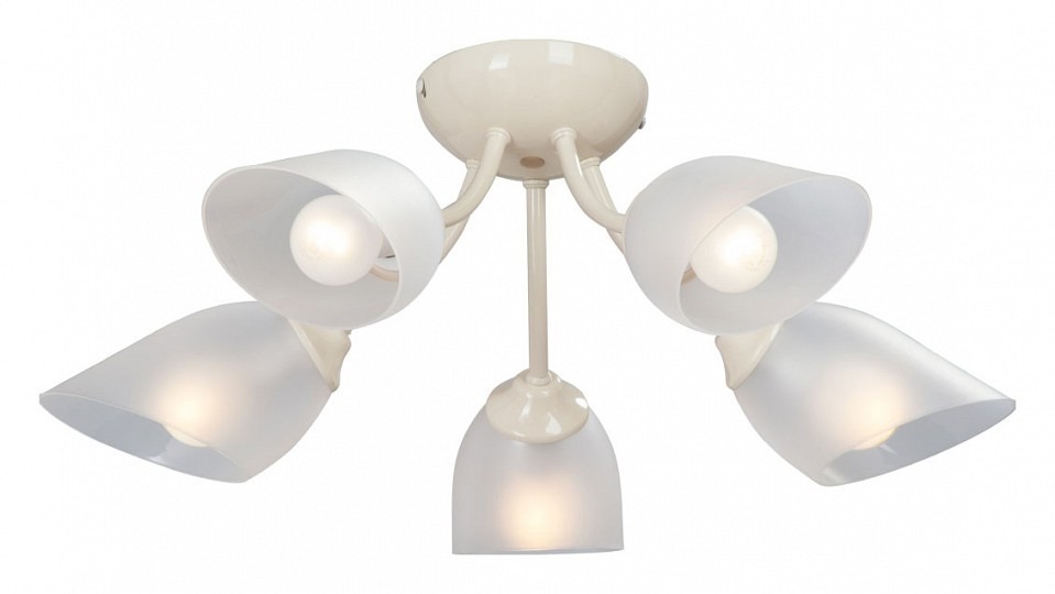 Фото Потолочная люстра Vitaluce  V3405/5PL VI_V3405_5PL - интернет-магазин МегаТерем в Москве