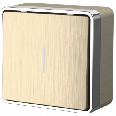 Выключатель одноклавишный с подсветкой Werkel Gallant (шампань рифленый) W5010110 WRK_a051042