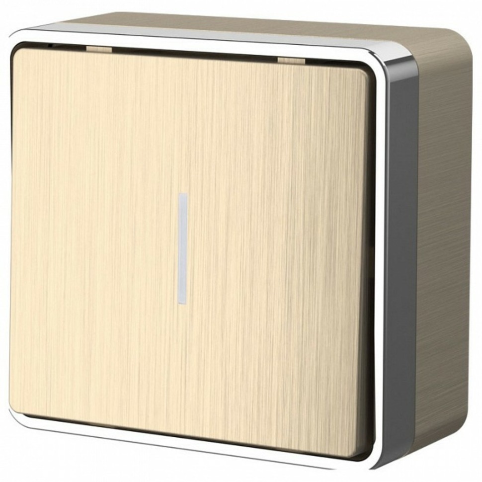 Фото Выключатель одноклавишный с подсветкой Werkel Gallant (шампань рифленый) W5010110 WRK_a051042 - интернет-магазин МегаТерем в Москве