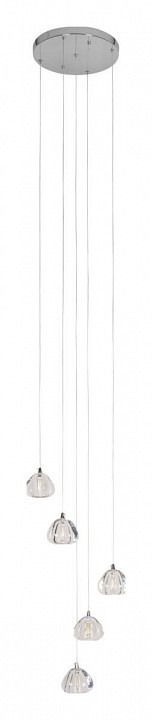 Фото Подвесной светильник Loft it Rain 10151/5 LF_10151_5 - интернет-магазин МегаТерем в Москве