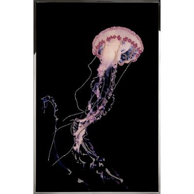 Картина Розовая медуза с кристаллами Swarovski (2372)