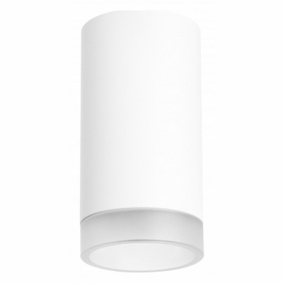 Накладной светильник Lightstar Rullo R43630 LS_R43630