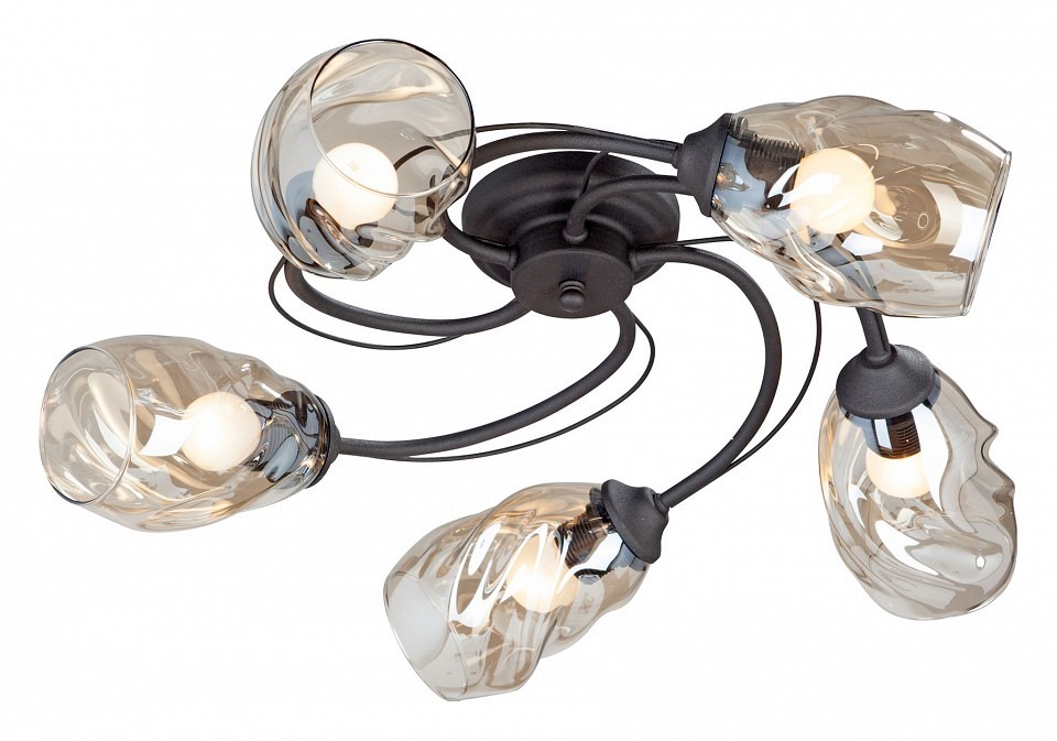 Фото Потолочная люстра Vitaluce  V4927-1/5PL VI_V4927-1_5PL - интернет-магазин МегаТерем в Москве