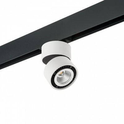 Светильник на штанге Lightstar Forte Muro PRO213816 LS_PRO213816