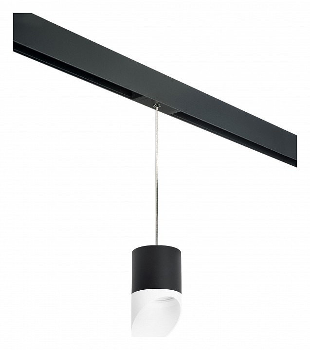 Фото Подвесной светильник Lightstar Rullo PRORP348786 LS_PRORP348786 - интернет-магазин МегаТерем в Москве