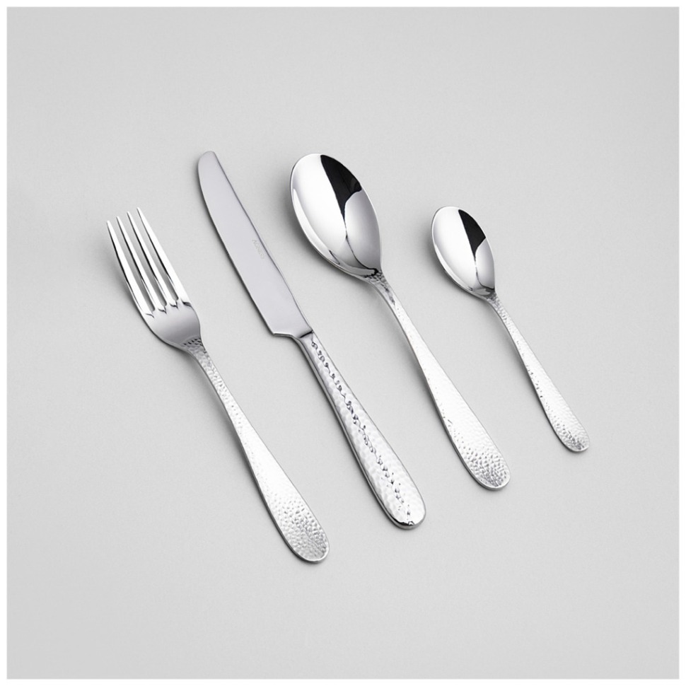 Фото Набор столовых приборов regina agness 24 пр., сталь 18/10 (1000-010)  - интернет-магазин МегаТерем в Москве