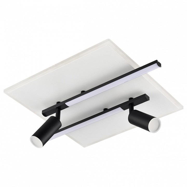 Фото Накладной светильник Lumion STELLS 8256/40CL LMN_8256_40CL - интернет-магазин МегаТерем в Москве