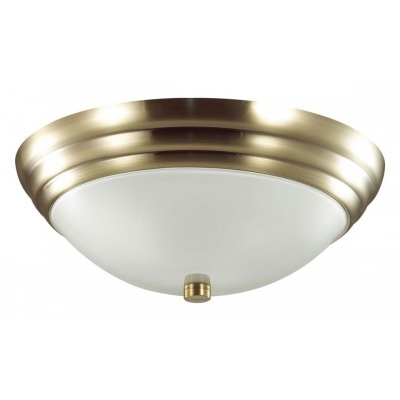 Накладной светильник Lumion Kayla 5262/2C LMN_5262_2C