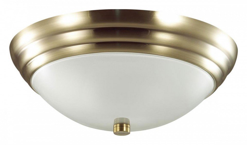 Фото Накладной светильник Lumion Kayla 5262/2C LMN_5262_2C - интернет-магазин МегаТерем в Москве