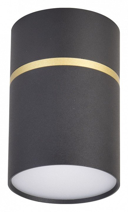 Фото Накладной светильник Favourite Dunia 3068-1C FV_3068-1C - интернет-магазин МегаТерем в Москве