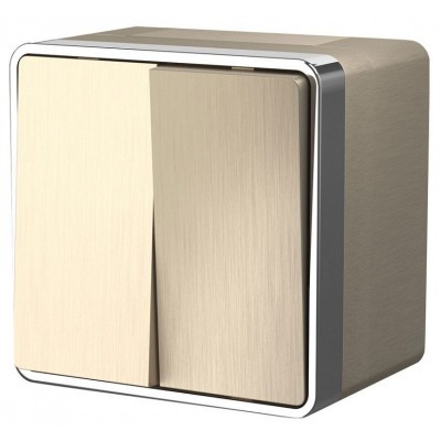 Выключатель двухклавишный в...