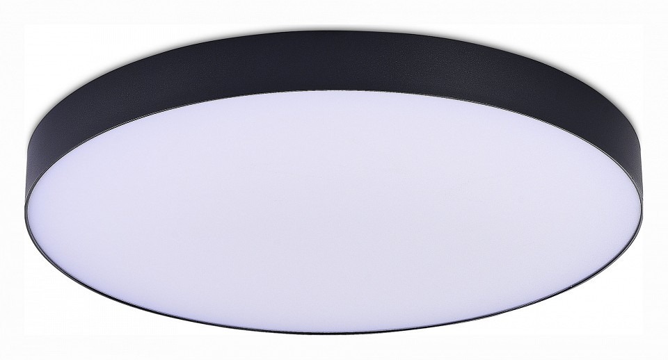 Фото Накладной светильник ST-Luce ST606 ST606.442.96 - интернет-магазин МегаТерем в Москве