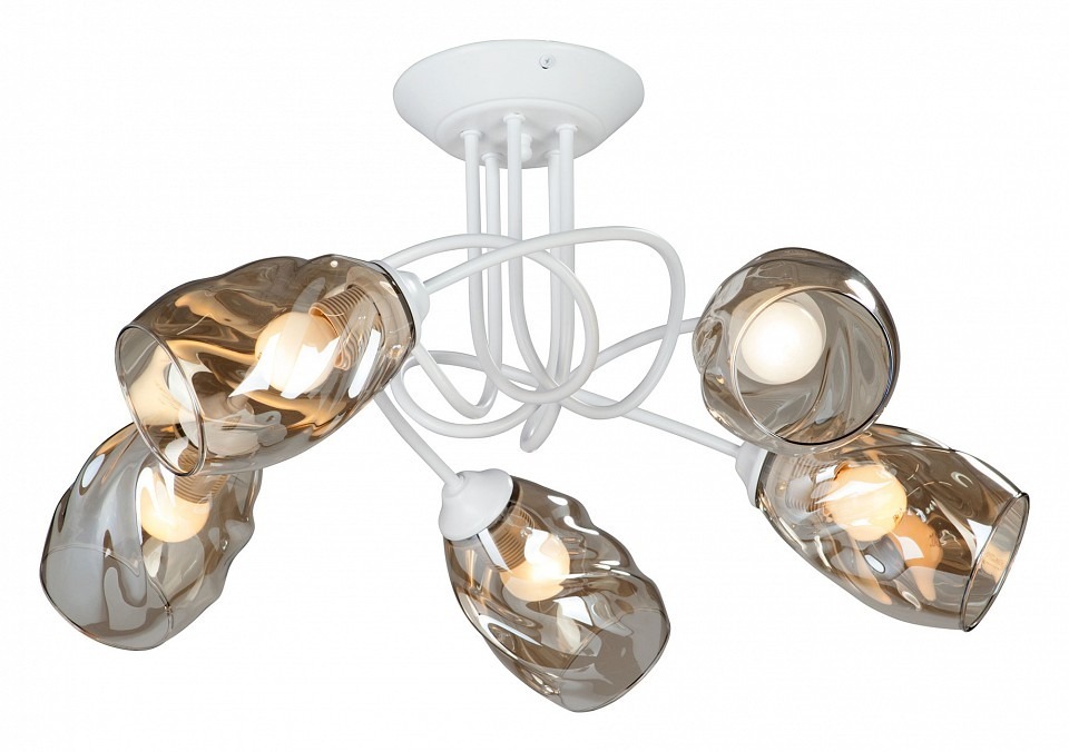 Фото Люстра на штанге Vitaluce 4926 V4926-0/5PL VI_V4926-0_5PL - интернет-магазин МегаТерем в Москве