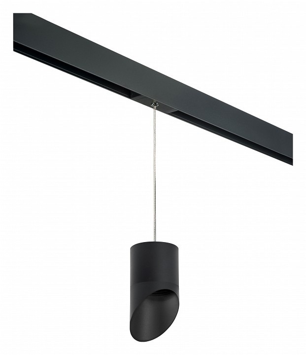 Фото Подвесной светильник Lightstar Rullo PRORP348787 LS_PRORP348787 - интернет-магазин МегаТерем в Москве