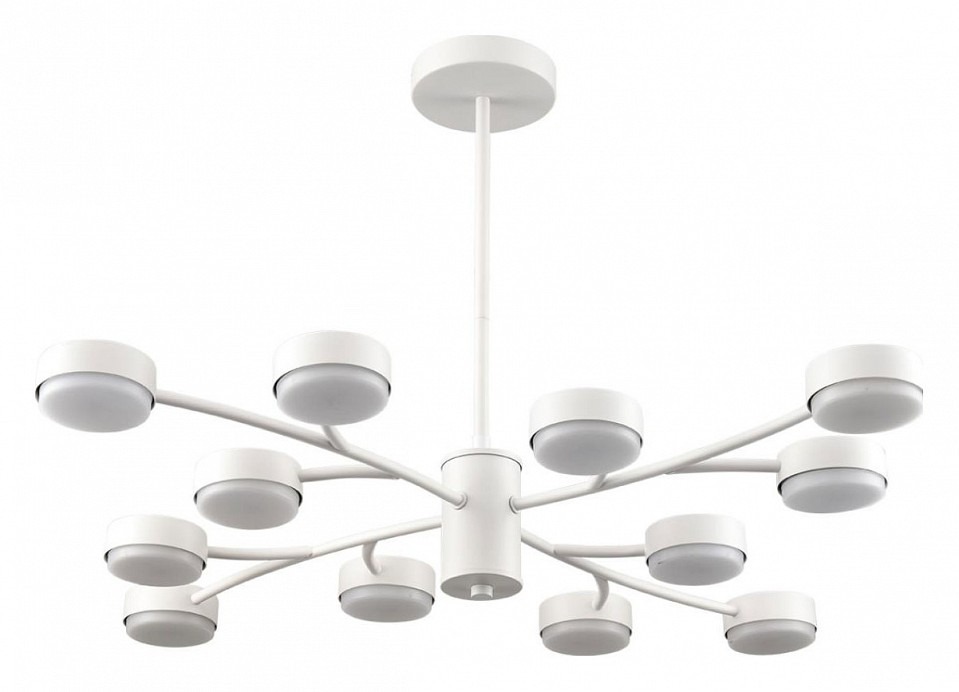 Фото Люстра на штанге Lumion TORINA 8265/12 LMN_8265_12 - интернет-магазин МегаТерем в Москве