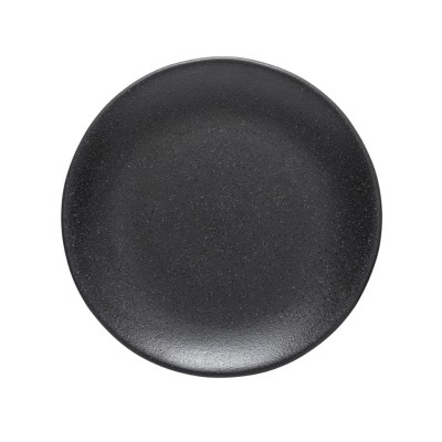 Тарелка RTP282-ARD(RTP282-V...