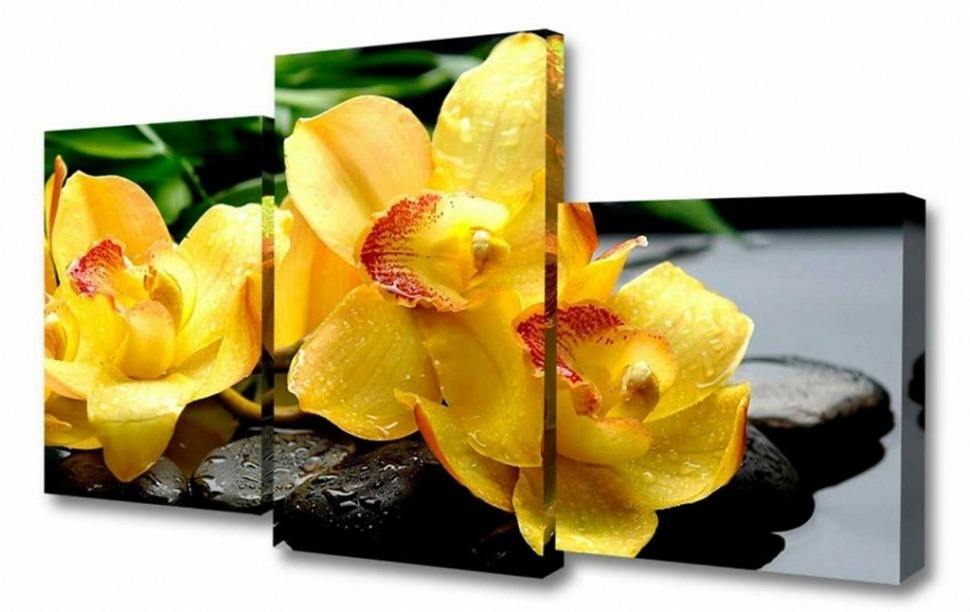 Фото Набор из 3 картин TopLight TL-MM TL-MM1040 TPL_TL-MM1040 - интернет-магазин МегаТерем в Москве