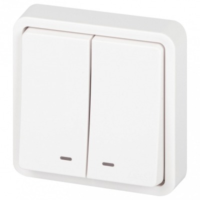 Выключатель двухклавишный с...