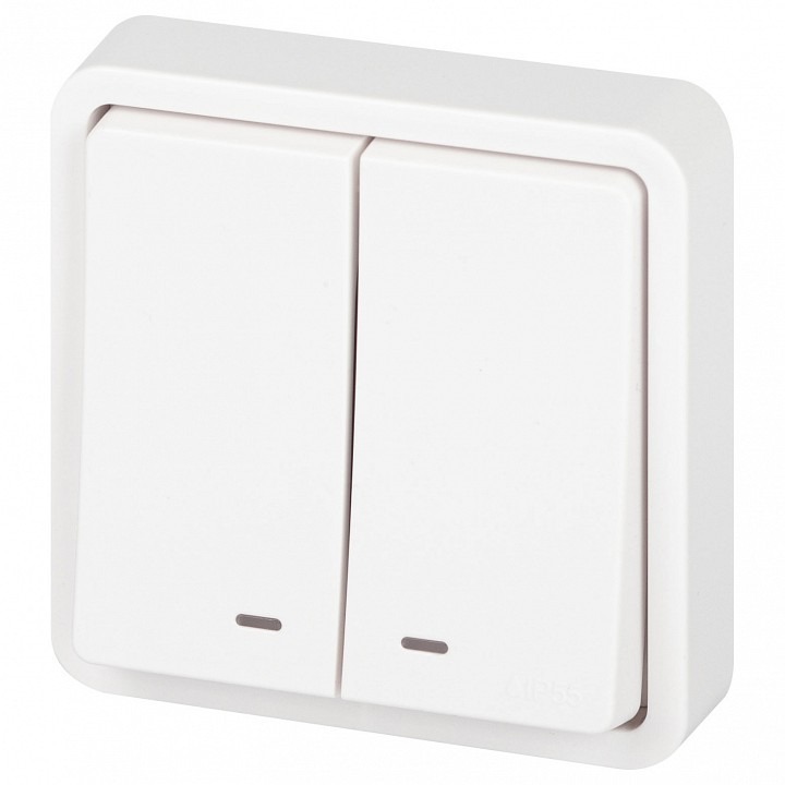 Фото Выключатель двухклавишный с подсветкой Эра Эра Эксперт 11-1525-01 ER_B0063304 - интернет-магазин МегаТерем в Москве