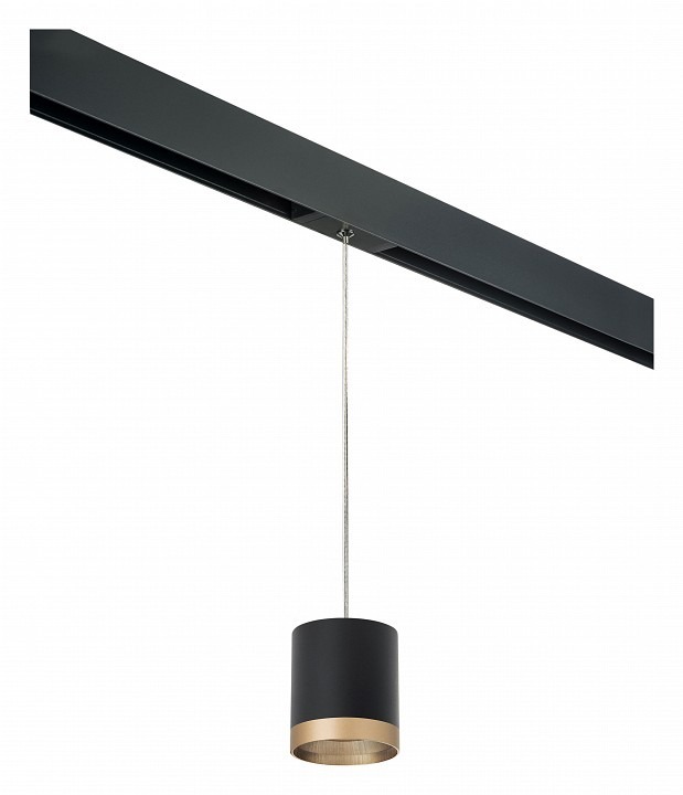 Фото Подвесной светильник Lightstar Rullo PRORP348790 LS_PRORP348790 - интернет-магазин МегаТерем в Москве