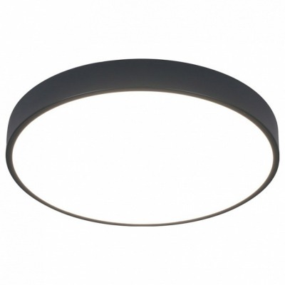 Накладной светильник Arte Lamp Arena A2661PL-1BK AR_A2661PL-1BK