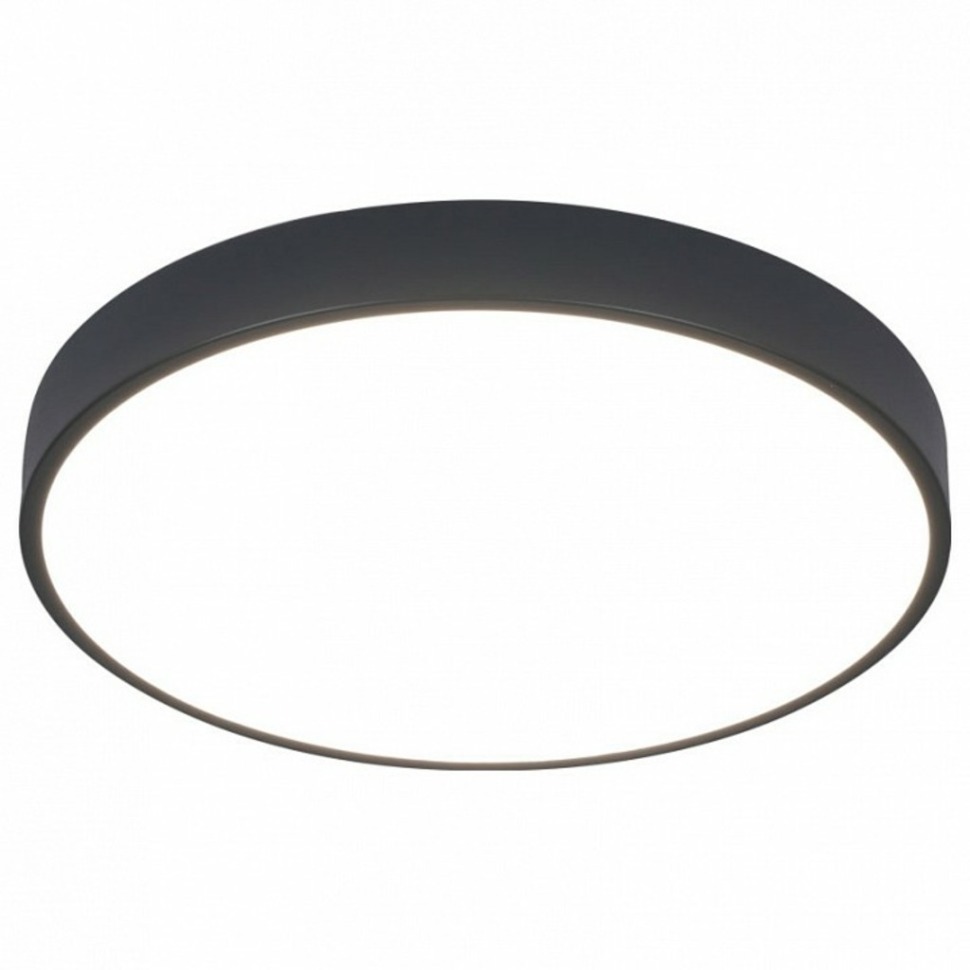 Фото Накладной светильник Arte Lamp Arena A2661PL-1BK AR_A2661PL-1BK - интернет-магазин МегаТерем в Москве