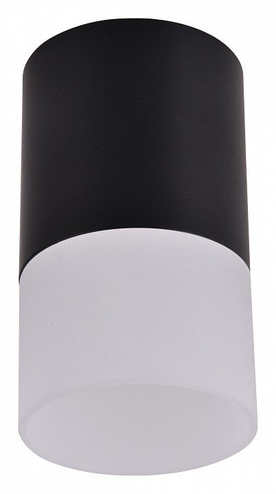 Фото Накладной светильник Favourite Naram 3070-1C FV_3070-1C - интернет-магазин МегаТерем в Москве