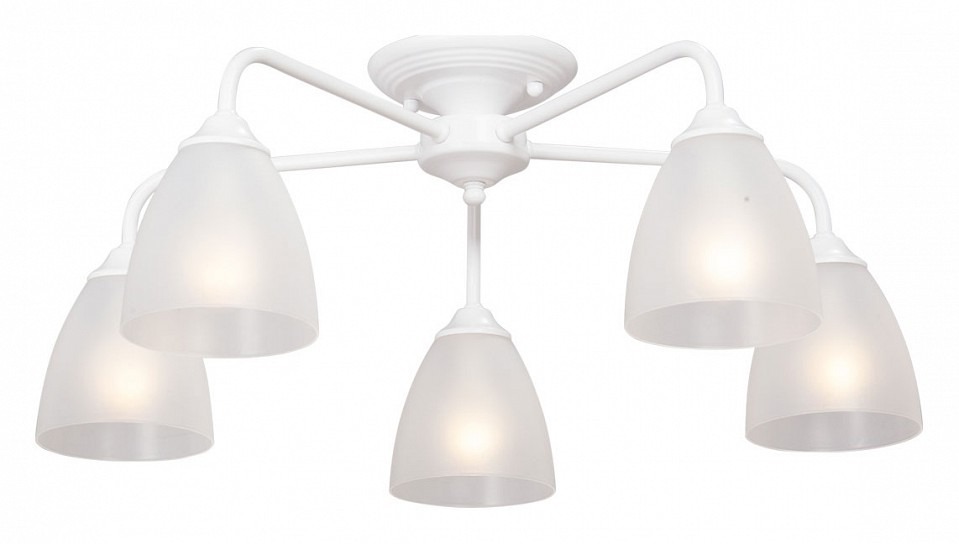 Фото Потолочная люстра Vitaluce  V3946-0/5PL VI_V3946-0_5PL - интернет-магазин МегаТерем в Москве