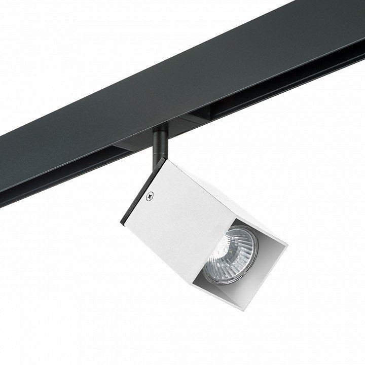 Фото Светильник на штанге Lightstar Rullo PRO216336 LS_PRO216336 - интернет-магазин МегаТерем в Москве