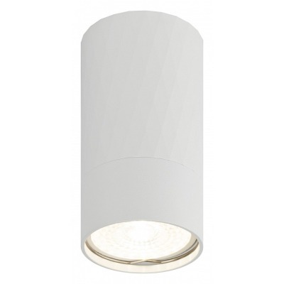 Накладной светильник Эра OL...