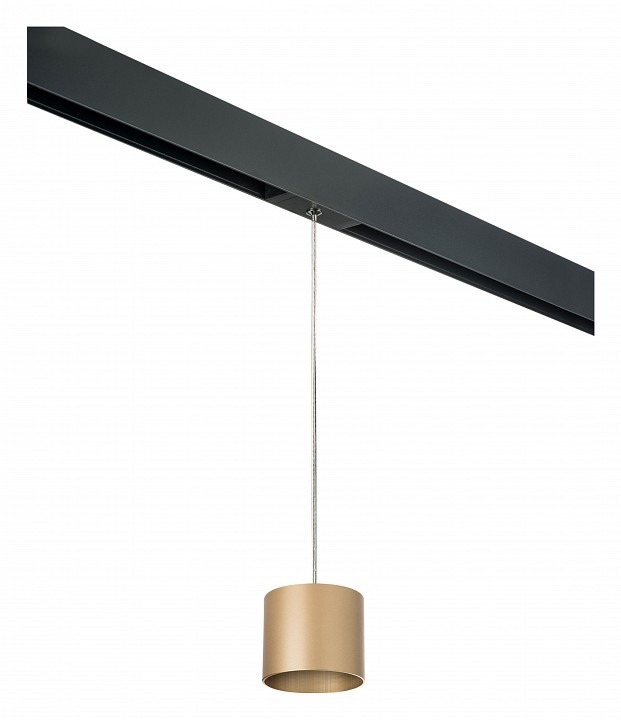 Фото Подвесной светильник Lightstar Rullo PRORP3490 LS_PRORP3490 - интернет-магазин МегаТерем в Москве