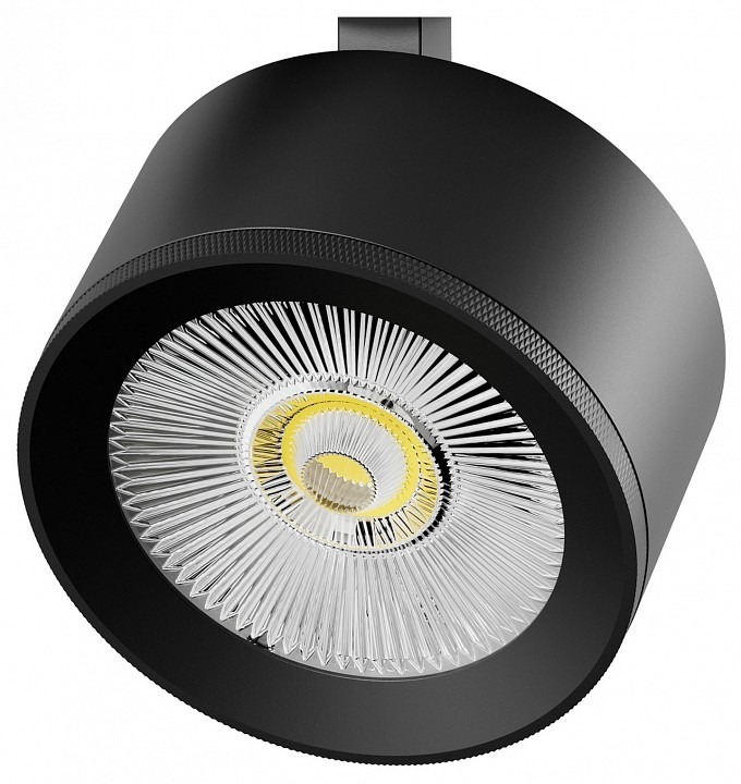 Фото Плафон металлический Lightstar Alta Pro 215547 LS_215547 - интернет-магазин МегаТерем в Москве