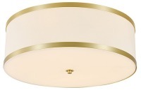 Накладной светильник Newport 3550 3555/PL brass NWP_M0070137