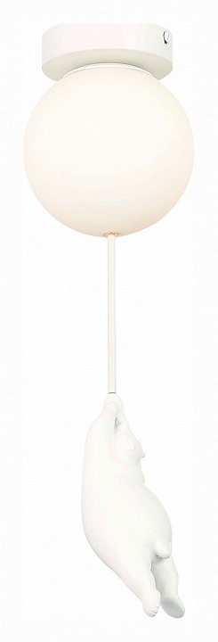 Фото Накладной светильник EVOLUCE Modena SLE115402-01 EVO_SLE115402-01 - интернет-магазин МегаТерем в Москве