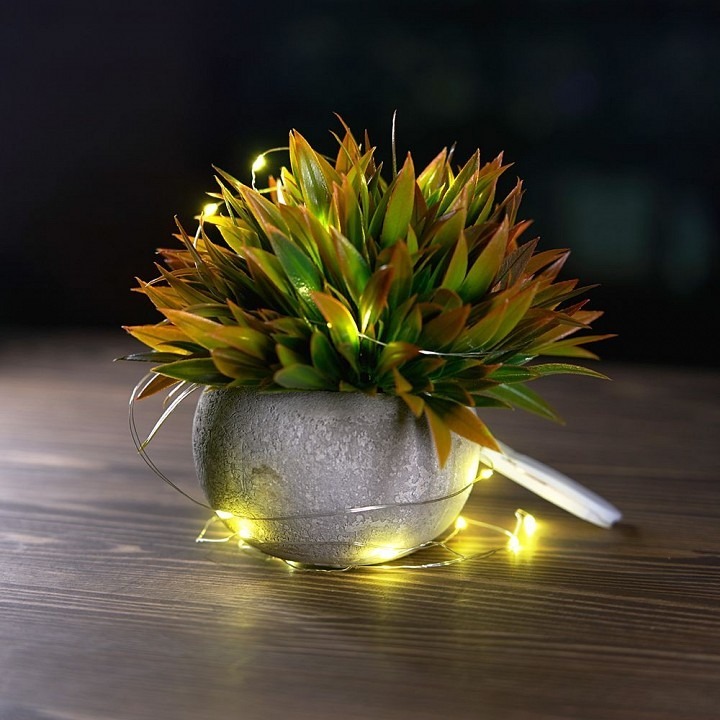 Фото Гирлянда Нить Feron CL588 51439 FE_51439 - интернет-магазин МегаТерем в Москве