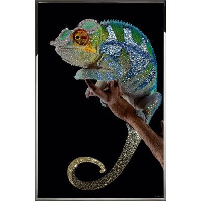 Картина Хамелеон с кристалл...