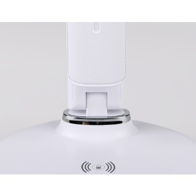 Настольная лампа офисная Ambrella Light DE DE520 AMBR_DE520