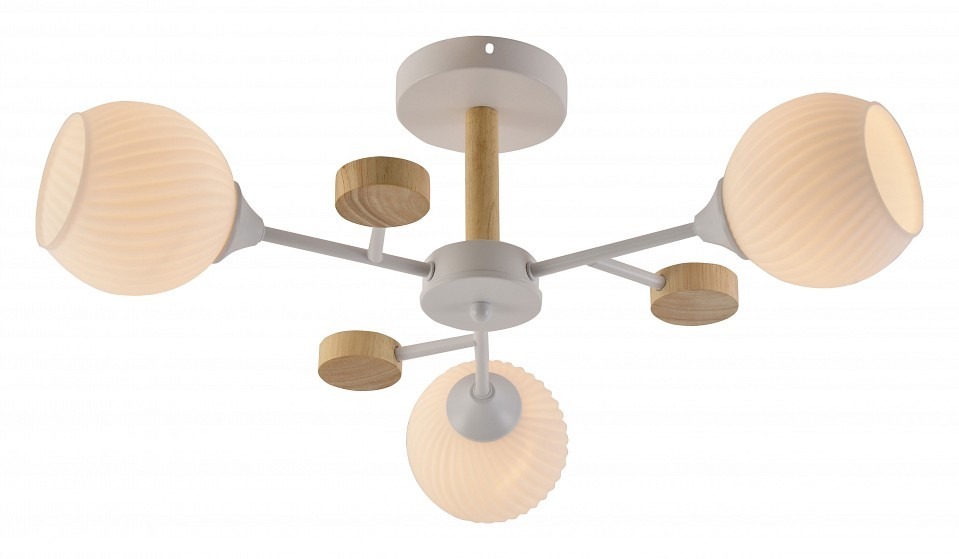 Фото Люстра на штанге Rivoli Chiara Б0068427 RVL_B0068427 - интернет-магазин МегаТерем в Москве