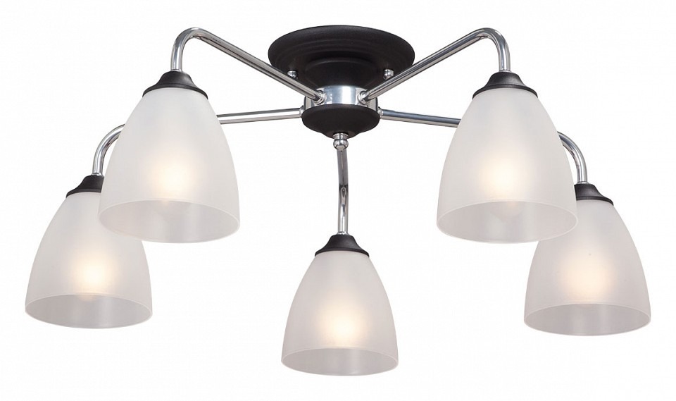 Фото Потолочная люстра Vitaluce  V3946-1/5PL VI_V3946-1_5PL - интернет-магазин МегаТерем в Москве