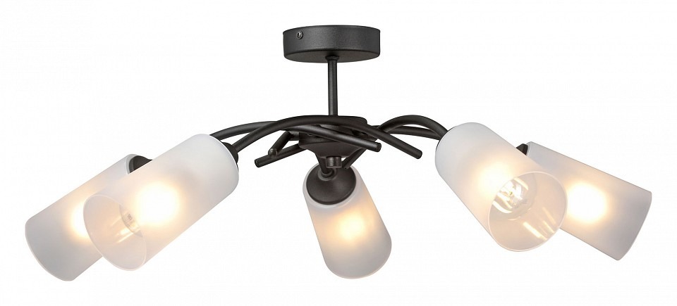 Фото Люстра на штанге Vitaluce V2850 V2850-1/5PL VI_V2850-1_5PL - интернет-магазин МегаТерем в Москве