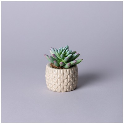 Суккулент искусственный в г...