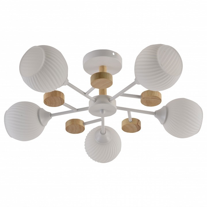 Фото Люстра на штанге Rivoli Chiara Б0068452 RVL_B0068452 - интернет-магазин МегаТерем в Москве