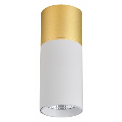 Накладной светильник Favourite Deepak 3073-1C FV_3073-1C